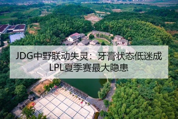 JDG中野联动失灵：牙膏状态低迷成LPL夏季赛最大隐患