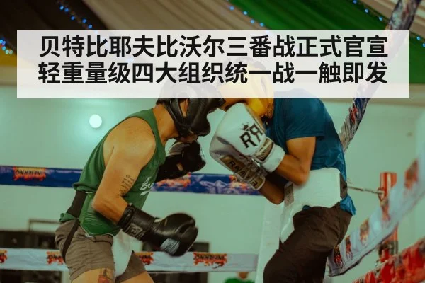 贝特比耶夫比沃尔三番战正式官宣 轻重量级四大组织统一战一触即发