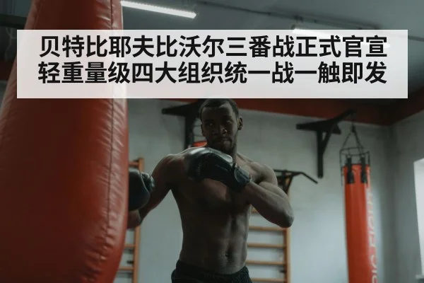 boxer training heavy bag
