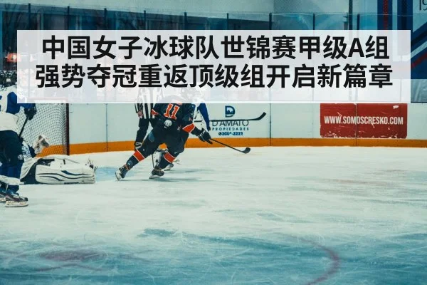 ice hockey match action